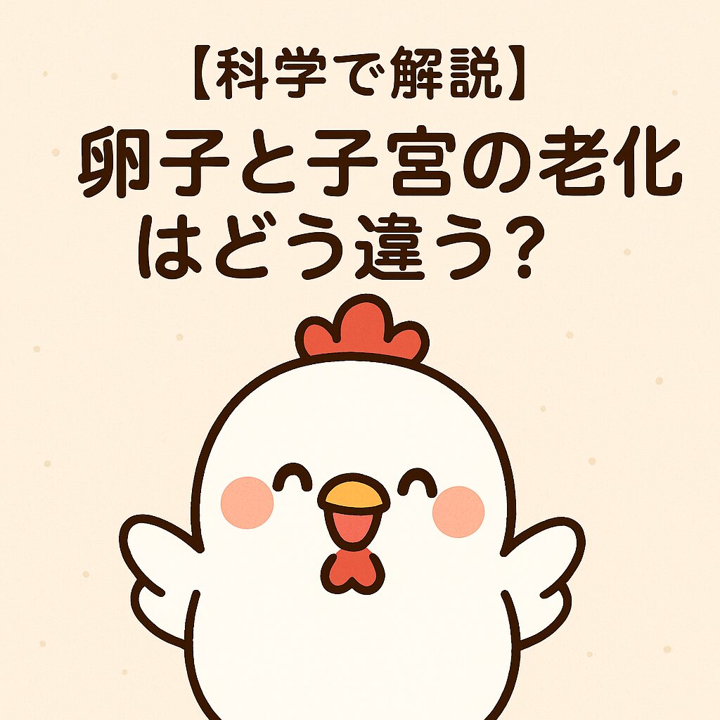 笑顔のニワトリと「【科学で解説】卵子と子宮の老化はどう違う？」という文字が入ったイラスト