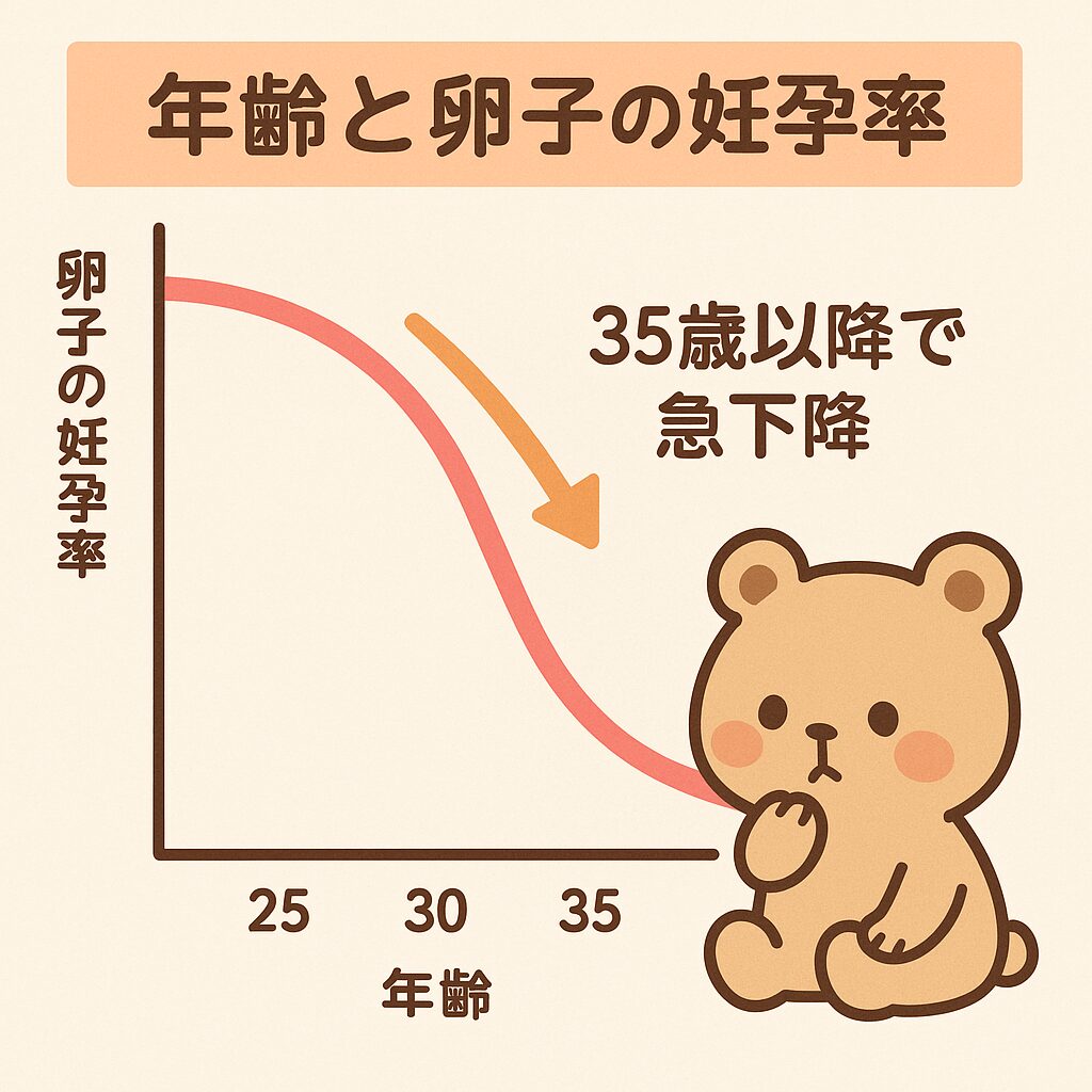 年齢と卵子の妊孕率を示すグラフ。35歳以降で急下降し、不安そうな表情のくまのキャラクターが描かれている。