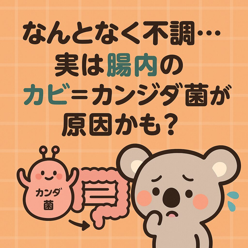 腸内で増殖するカンジダ菌と、不調を感じるコアラのイラスト。腸とカンジダの関係をわかりやすく表現。