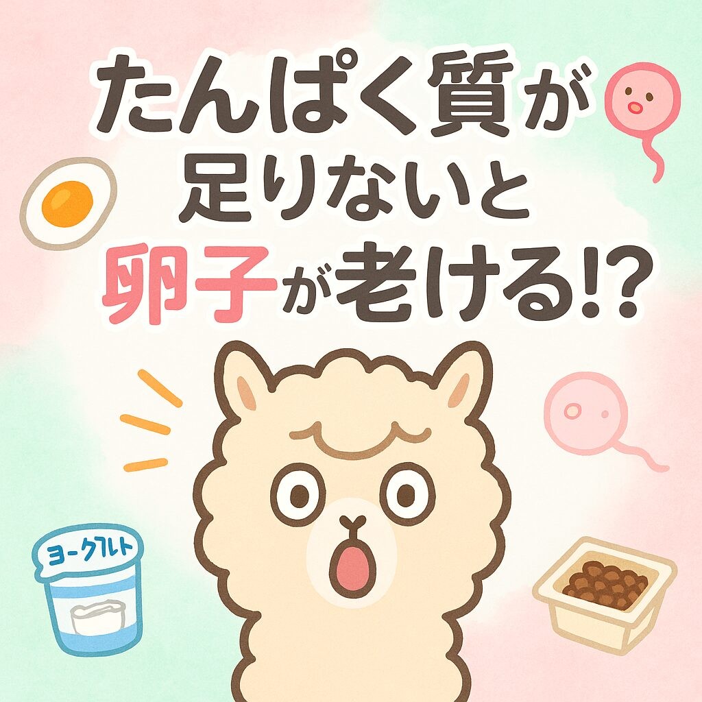 驚いた表情のアルパカが中央に描かれ、「たんぱく質が足りないと卵子が老ける!?」という文字と卵・ヨーグルト・納豆などのイラストが水彩パステル背景に配置されている可愛いイメージ