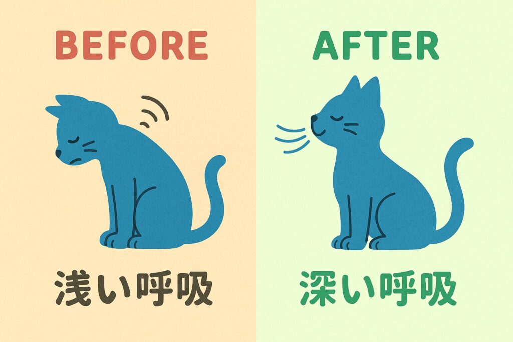 猫背から整った姿勢に変わる様子と浅い呼吸から深い呼吸への変化を描いた、かわいい動物のビフォーアフター構図のイラストアイキャッチ
