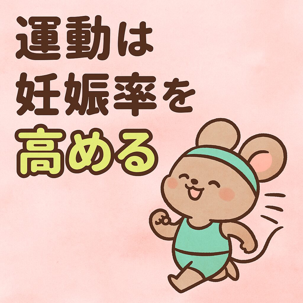 ピンクの背景で運動するかわいいネズミのキャラクターと「運動は妊娠率を高める」という文字が描かれたアイキャッチ画像